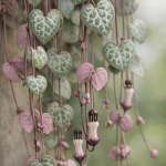plantas de jardin