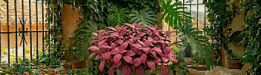 Fittonia hojas nervaduras rosadas interior