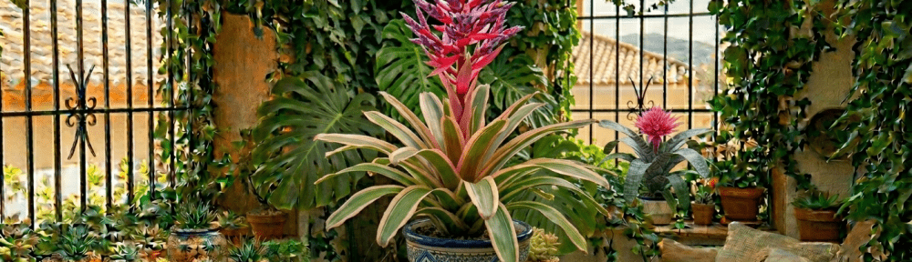 bromelia flor tropical interior